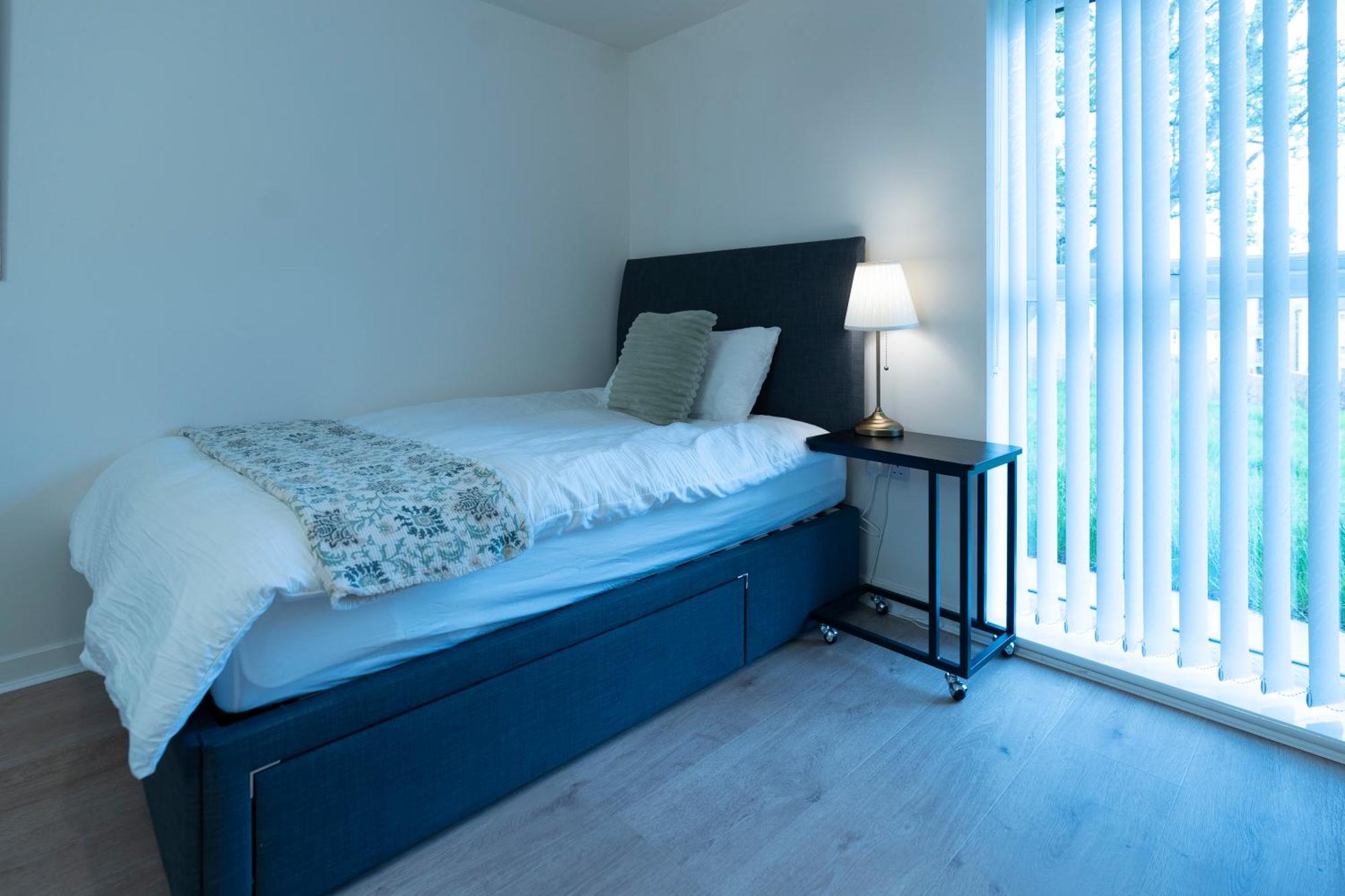 Luxury Ground Floor 2 Bedroom Apartment Free Wifi & Parking シェフィールド エクステリア 写真