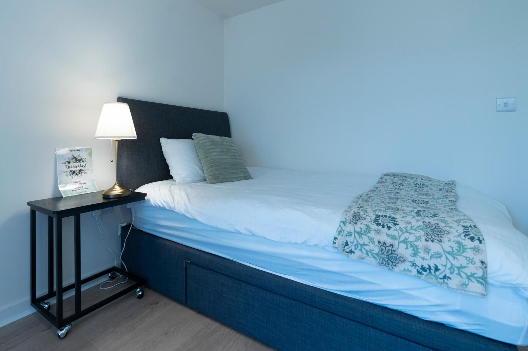 Luxury Ground Floor 2 Bedroom Apartment Free Wifi & Parking シェフィールド エクステリア 写真